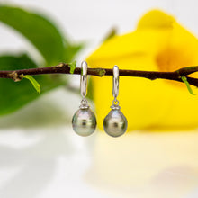 Load image into Gallery viewer, READY TO SHIP Fiji Pearl Huggie Earrings - 925 Sterling Silver FJD$
