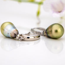 Load image into Gallery viewer, READY TO SHIP Civa Fiji Pearl Earrings - 925 Sterling Silver FJD$
