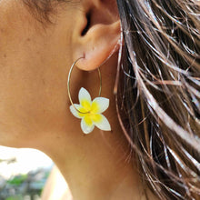 Load image into Gallery viewer, READY TO SHIP Frangipani Flower Hoop Earrings - 925 Sterling Silver FJD$
