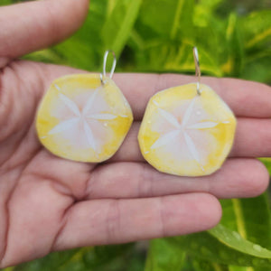 READY TO SHIP Sand Dollar Resin Earrings - 925 Sterling Silver FJD$