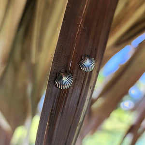 READY TO SHIP Sea Shell Stud Earrings - 925 Sterling Silver FJD$