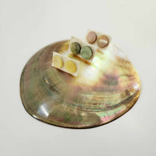 Load image into Gallery viewer, READY TO SHIP Mother of Pearl Stud Earrings - Stainless Steel FJD$
