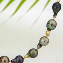 Load image into Gallery viewer, READY TO SHIP Civa Fiji Saltwater Pearl Necklace - 14k Gold Fill FJD$
