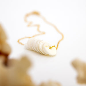 READY TO SHIP Shell Money Necklace - 14k Gold Fill FJD$