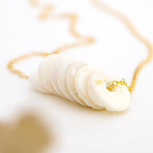 READY TO SHIP Shell Money Necklace - 14k Gold Fill FJD$