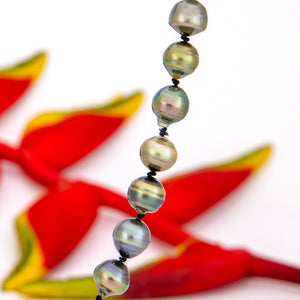 READY TO SHIP Civa Fiji Pearl Necklace Strand - 925 Sterling Silver FJD$