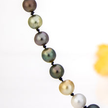 Load image into Gallery viewer, READY TO SHIP Civa Fiji Pearl Necklace Strand - 925 Sterling Silver FJD$
