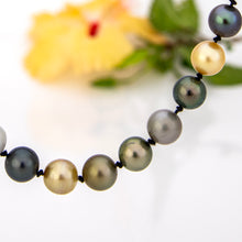 Load image into Gallery viewer, READY TO SHIP Civa Fiji Pearl Necklace Strand - 925 Sterling Silver FJD$
