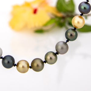 READY TO SHIP Civa Fiji Pearl Necklace Strand - 925 Sterling Silver FJD$