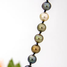 Load image into Gallery viewer, READY TO SHIP Civa Fiji Pearl Necklace Strand - 925 Sterling Silver FJD$
