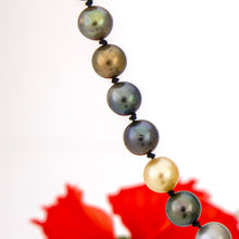 Load image into Gallery viewer, READY TO SHIP Civa Fiji Pearl Necklace Strand - 925 Sterling Silver FJD$
