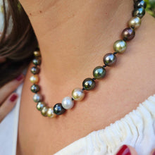 Load image into Gallery viewer, READY TO SHIP Civa Fiji Pearl Necklace Strand - 925 Sterling Silver FJD$
