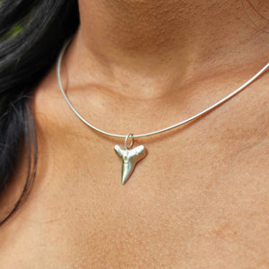 READY TO SHIP Shark Tooth Necklace - 925 Sterling Silver FJD$