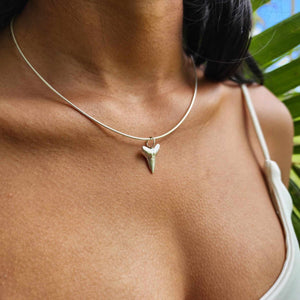 READY TO SHIP Shark Tooth Necklace - 925 Sterling Silver FJD$