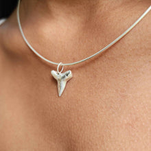 Load image into Gallery viewer, READY TO SHIP Shark Tooth Necklace - 925 Sterling Silver FJD$
