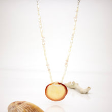 Load image into Gallery viewer, READY TO SHIP Freshwater Pearl &amp; Shell Necklace - 925 Sterling Silver FJD$
