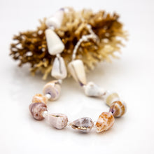 Load image into Gallery viewer, READY TO SHIP Freshwater Pearl &amp; Shell Necklace - 925 Sterling Silver FJD$
