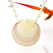 Load image into Gallery viewer, READY TO SHIP Freshwater Pearl &amp; Shell Necklace - 925 Sterling Silver FJD$
