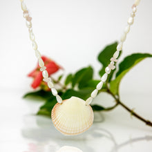 Load image into Gallery viewer, READY TO SHIP Freshwater Pearl &amp; Shell Necklace - 925 Sterling Silver FJD$
