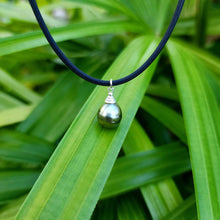 Load image into Gallery viewer, READY TO SHIP Unisex Civa Fiji Saltwater Pearl Necklace - Rubber FJD$
