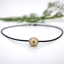 Load image into Gallery viewer, WHOLESALE Unisex Civa Fiji Saltwater Pearl Necklace - Rubber FJD$
