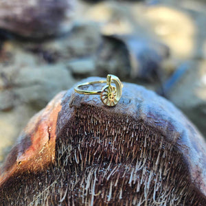 READY TO SHIP Mini Nautilus Ring - 18k Gold Vermeil FJD$