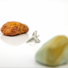 Load image into Gallery viewer, READY TO SHIP Bull Shark Tooth Pendant - 925 Sterling Silver FJD$
