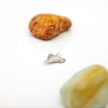 Load image into Gallery viewer, READY TO SHIP Bull Shark Tooth Pendant - 925 Sterling Silver FJD$
