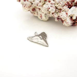 READY TO SHIP Bull Shark Tooth Pendant - 925 Sterling Silver FJD$