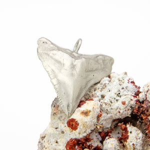 READY TO SHIP Bull Shark Tooth Pendant - 925 Sterling Silver FJD$