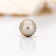 Load image into Gallery viewer, READY TO SHIP Graded Civa Fiji Pearl Necklace - 14k Solid Gold FJD$
