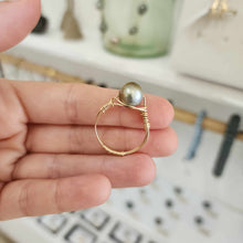 Load image into Gallery viewer, READY TO SHIP Civa Fiji Saltwater Pearl Ring - 14k Gold Fill FJD$
