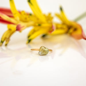 READY TO SHIP - Fiji Keshi Pearl Ring - 14k Gold Fill FJD$