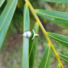 Load image into Gallery viewer, READY TO SHIP Civa Fiji Pearl Ring - 925 Sterling Silver FJD$
