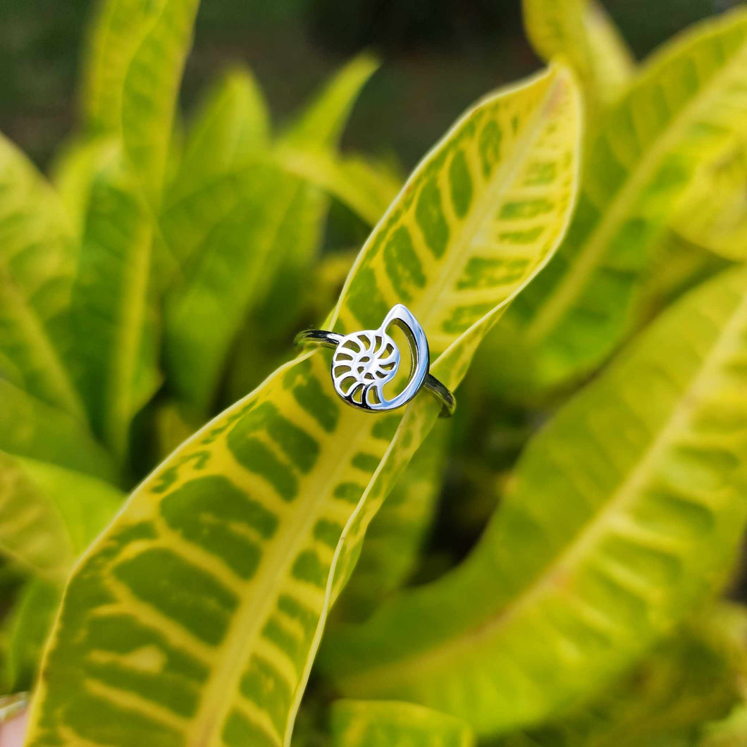 READY TO SHIP Mini Nautilus Ring - 925 Sterling Silver FJD$