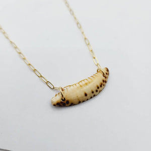 CONTACT US TO RECREATE THIS SOLD OUT STYLE Shell Necklace - 14k Gold Fill FJD$ - Adorn Pacific - All Products